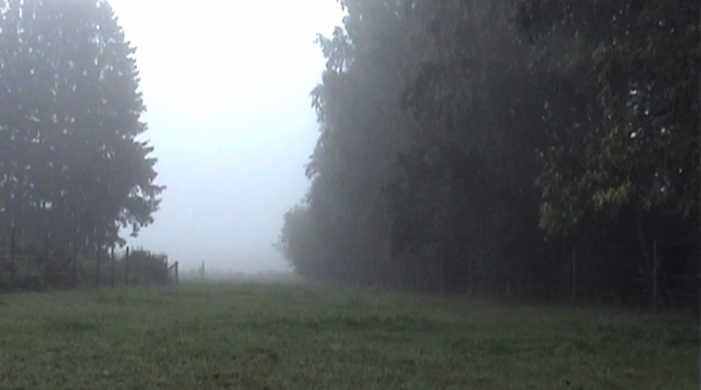 Thumbnail image of video artwork A Fragile Dream, featuring an empty misty field